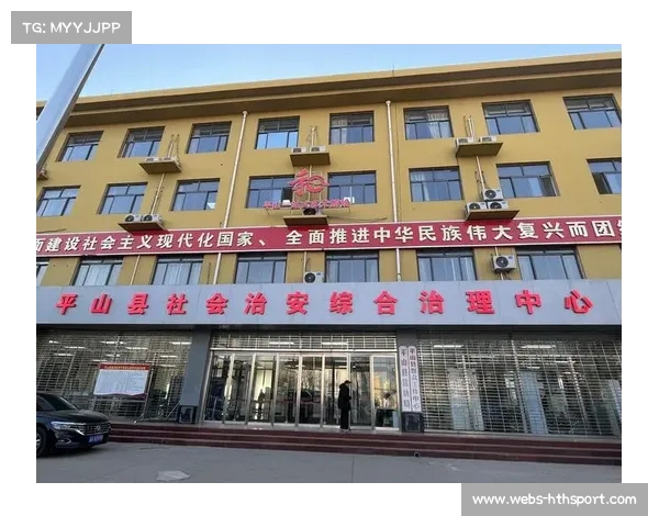 国际经验本土化适配，提升治理水平